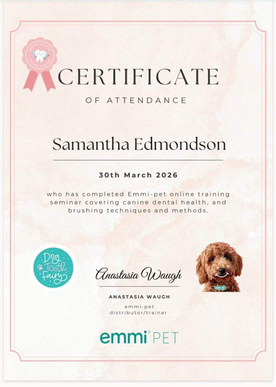 Emmi-pet certificate of attendance for Samantha Edmondson